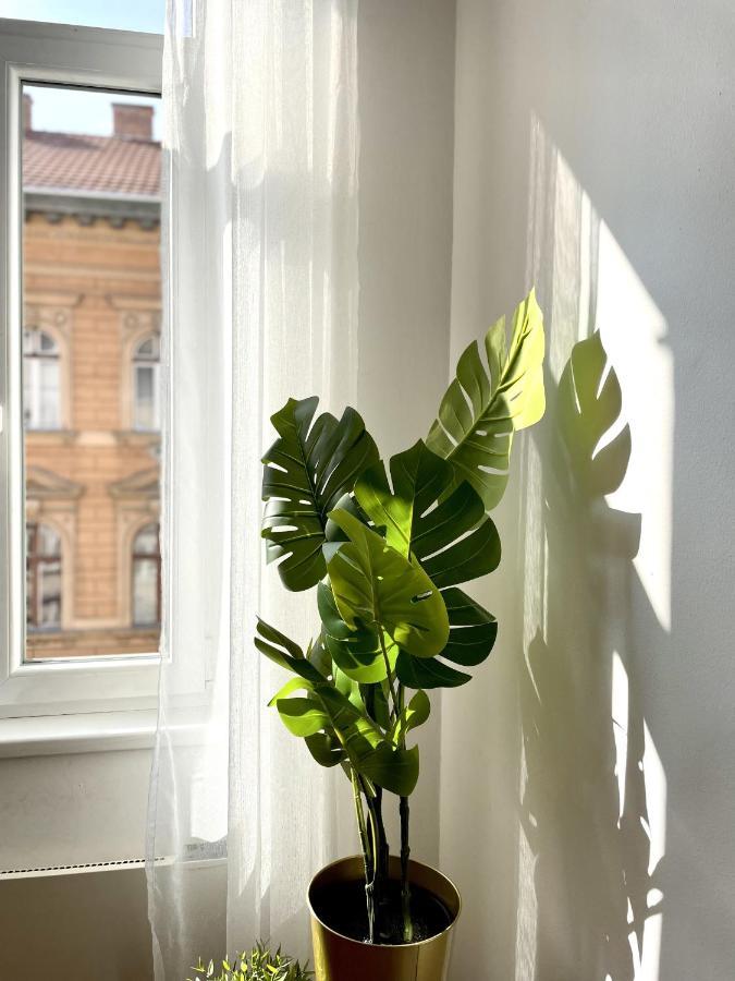 Eotvos 25 Apartment Budapest Eksteriør billede